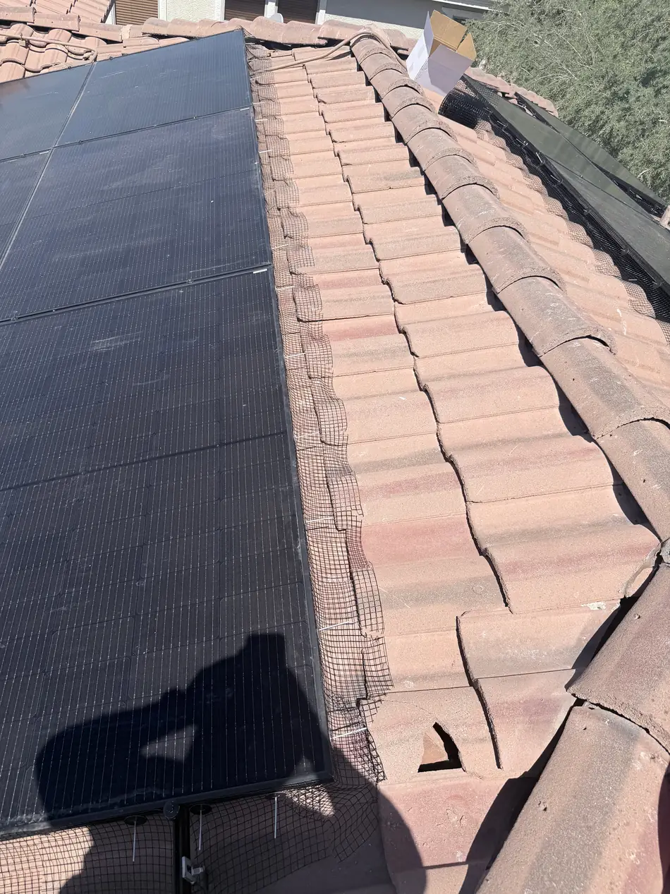 Bird mesh netting installed along a tile roof edge next to a solar panel