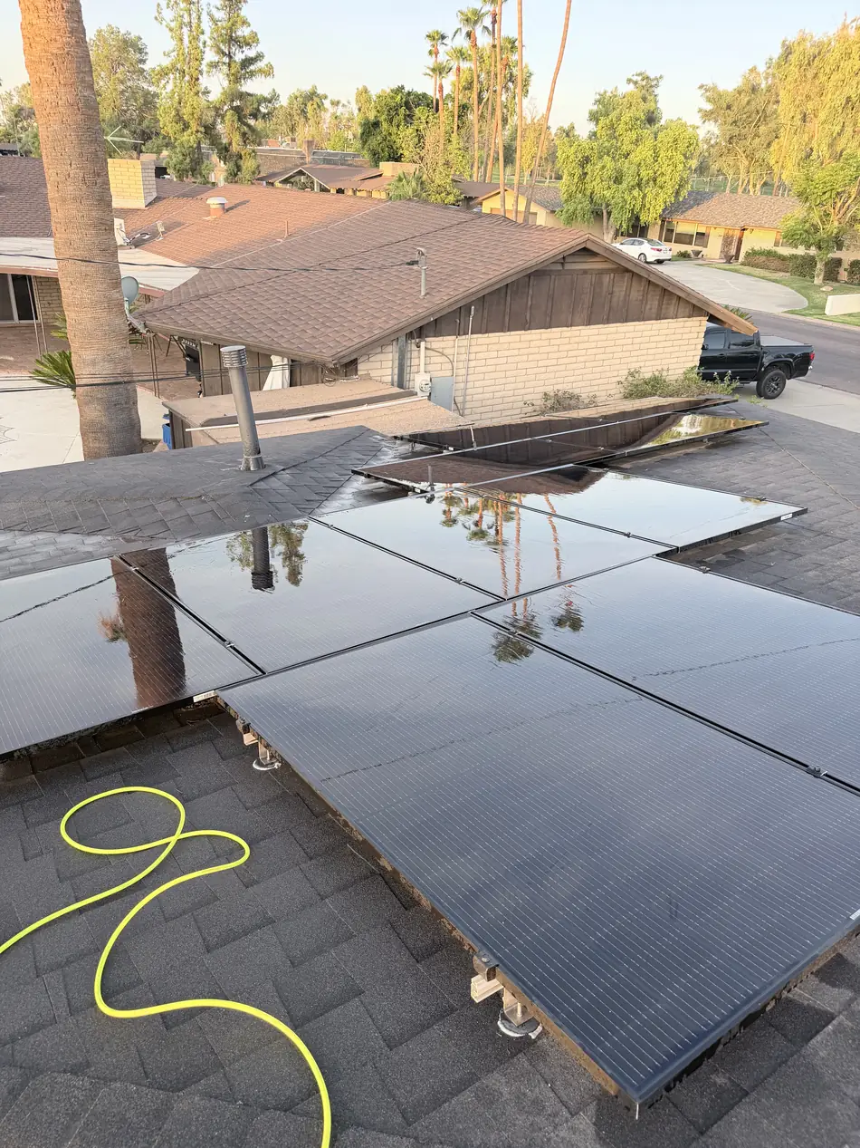 Wet, freshly cleaned solar panels reflecting palm trees at golden hour